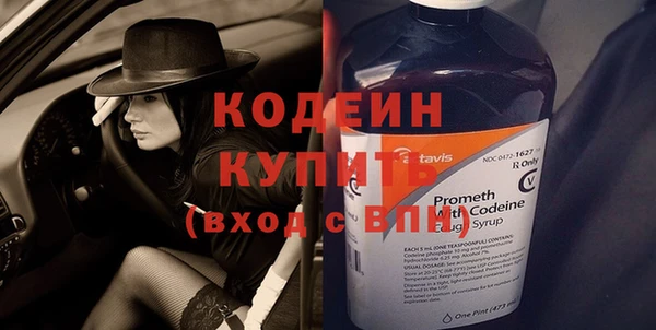 шишки Абаза