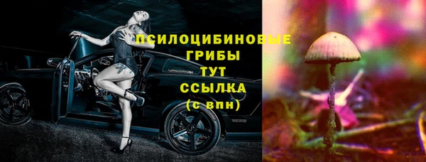 гидра Абинск