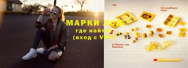 шишки Абаза