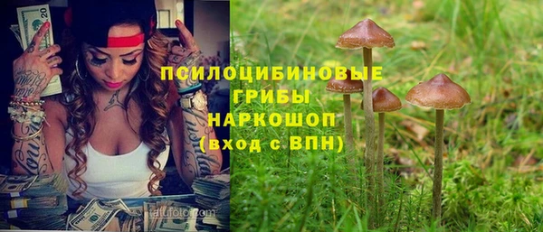 гидра Абинск