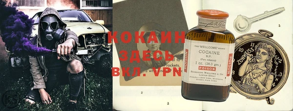 шишки Абаза