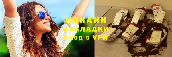 шишки Абаза