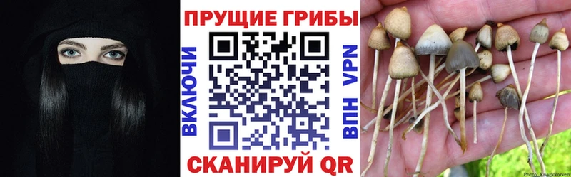 Псилоцибиновые грибы Magic Shrooms Холмск