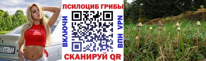 сайты даркнета формула  Холмск  Псилоцибиновые грибы ЛСД  блэк спрут ссылка 